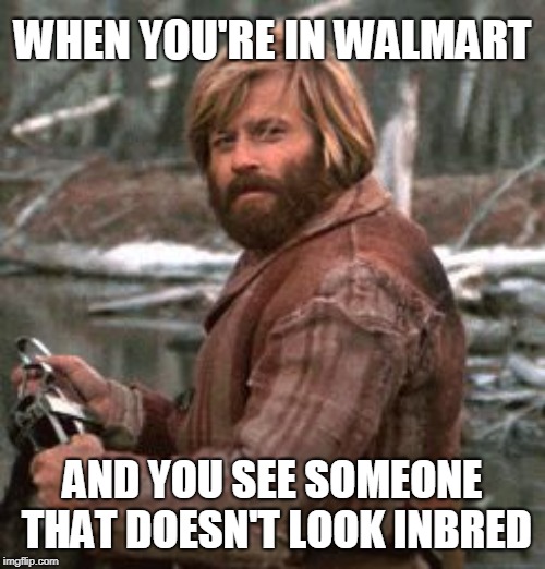 Redford nod of approval | WHEN YOU'RE IN WALMART; AND YOU SEE SOMEONE THAT DOESN'T LOOK INBRED | image tagged in redford nod of approval | made w/ Imgflip meme maker