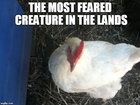 Angry Chicken Boss Meme | THE MOST FEARED CREATURE IN THE LANDS | image tagged in memes,angry chicken boss | made w/ Imgflip meme maker