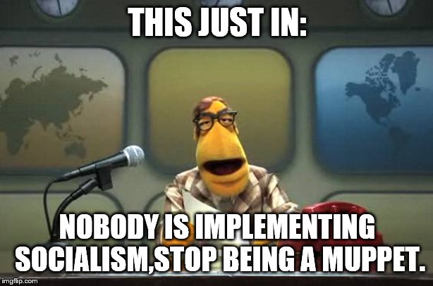 Muppet News Flash | THIS JUST IN: NOBODY IS IMPLEMENTING SOCIALISM,STOP BEING A MUPPET. | image tagged in muppet news flash | made w/ Imgflip meme maker