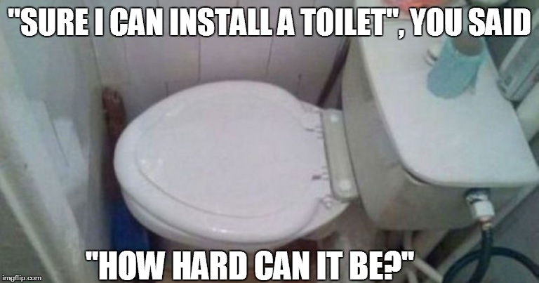 "SURE I CAN INSTALL A TOILET", YOU SAID; "HOW HARD CAN IT BE?" | image tagged in but thats none of my business | made w/ Imgflip meme maker