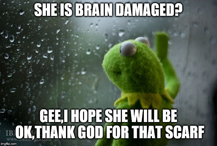 kermit window | SHE IS BRAIN DAMAGED? GEE,I HOPE SHE WILL BE OK,THANK GOD FOR THAT SCARF | image tagged in kermit window | made w/ Imgflip meme maker