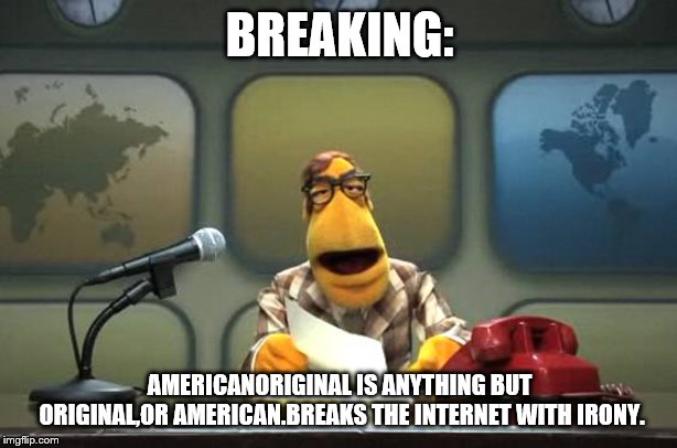 Muppet News Flash | BREAKING: AMERICANORIGINAL IS ANYTHING BUT ORIGINAL,OR AMERICAN.BREAKS THE INTERNET WITH IRONY. | image tagged in muppet news flash | made w/ Imgflip meme maker