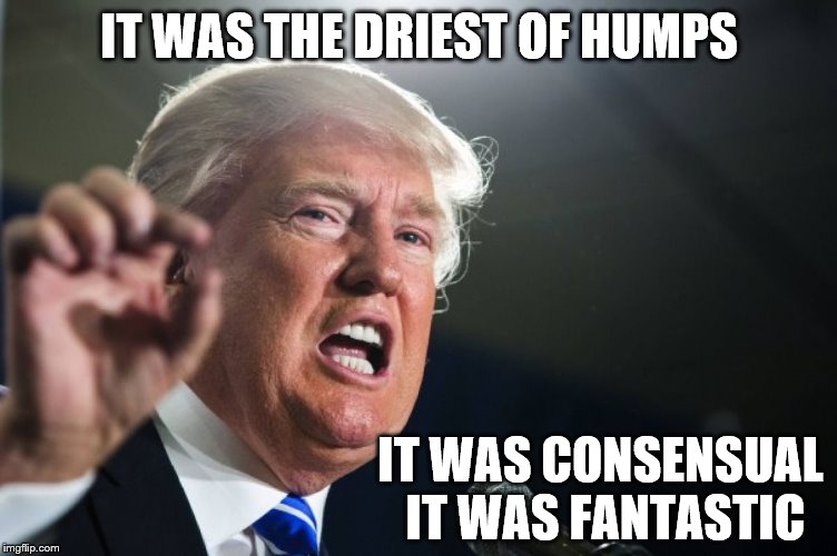 Celibating flag day | IT WAS THE DRIEST OF HUMPS IT WAS CONSENSUAL IT WAS FANTASTIC | image tagged in donald trump,memes,flag | made w/ Imgflip meme maker