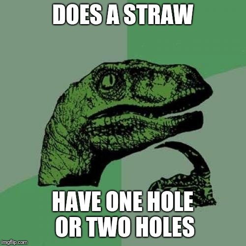 Philosoraptor Meme | DOES A STRAW; HAVE ONE HOLE OR TWO HOLES | image tagged in memes,philosoraptor | made w/ Imgflip meme maker