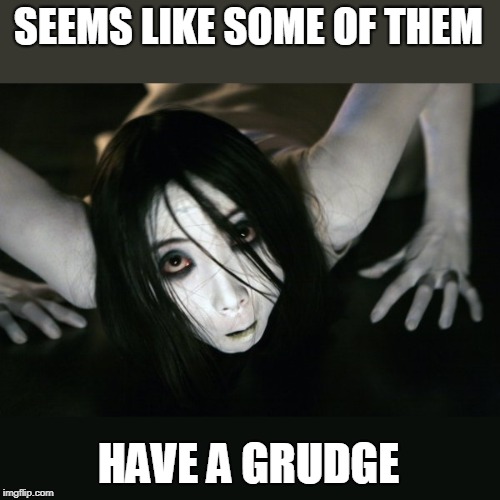 Grudge | SEEMS LIKE SOME OF THEM HAVE A GRUDGE | image tagged in grudge | made w/ Imgflip meme maker