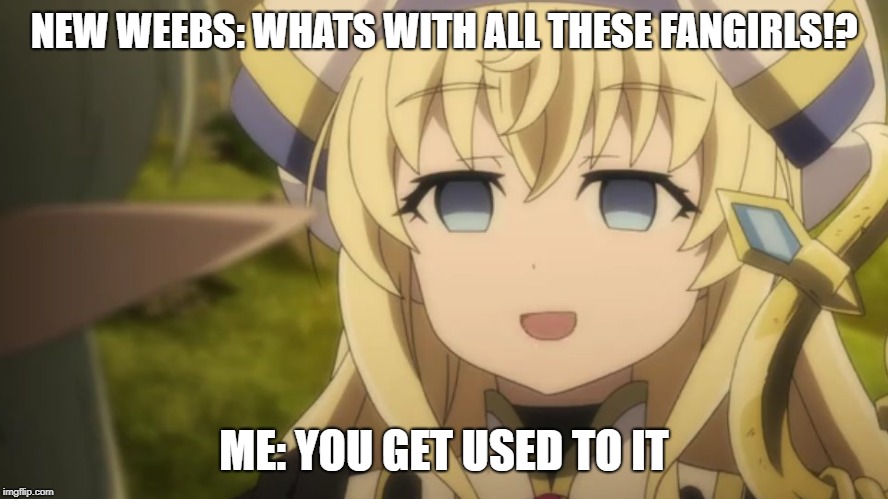 NEW WEEBS: WHATS WITH ALL THESE FANGIRLS!? ME: YOU GET USED TO IT | made w/ Imgflip meme maker