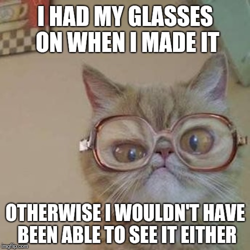 Funny Cat with Glasses | I HAD MY GLASSES ON WHEN I MADE IT OTHERWISE I WOULDN'T HAVE BEEN ABLE TO SEE IT EITHER | image tagged in funny cat with glasses | made w/ Imgflip meme maker