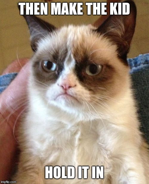 Grumpy Cat Meme | THEN MAKE THE KID HOLD IT IN | image tagged in memes,grumpy cat | made w/ Imgflip meme maker