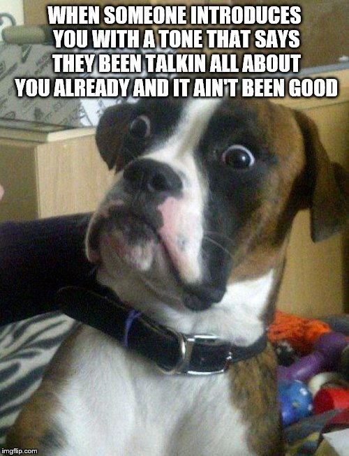 Blankie the Shocked Dog | WHEN SOMEONE INTRODUCES YOU WITH A TONE THAT SAYS THEY BEEN TALKIN ALL ABOUT YOU ALREADY AND IT AIN'T BEEN GOOD | image tagged in blankie the shocked dog | made w/ Imgflip meme maker