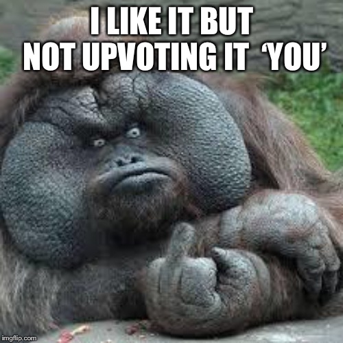 mad monkey | I LIKE IT BUT NOT UPVOTING IT 
‘YOU’ | image tagged in mad monkey | made w/ Imgflip meme maker