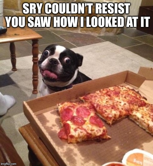 Hungry Pizza Dog | SRY COULDN’T RESIST YOU SAW HOW I LOOKED AT IT | image tagged in hungry pizza dog | made w/ Imgflip meme maker