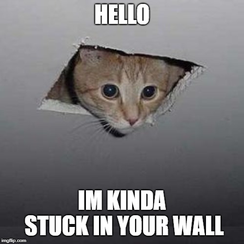 Ceiling Cat | HELLO; IM KINDA STUCK IN YOUR WALL | image tagged in memes,ceiling cat | made w/ Imgflip meme maker