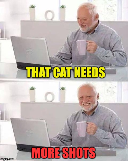 Hide the Pain Harold Meme | THAT CAT NEEDS MORE SHOTS | image tagged in memes,hide the pain harold | made w/ Imgflip meme maker