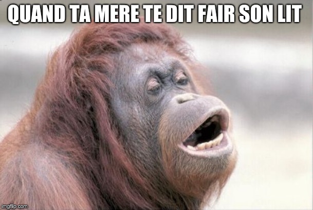 Monkey OOH Meme | QUAND TA MERE TE DIT FAIR SON LIT | image tagged in memes,monkey ooh | made w/ Imgflip meme maker