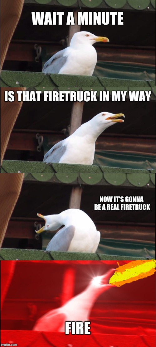 Inhaling Seagull | WAIT A MINUTE; IS THAT FIRETRUCK IN MY WAY; NOW IT'S GONNA BE A REAL FIRETRUCK; FIRE | image tagged in memes,inhaling seagull | made w/ Imgflip meme maker