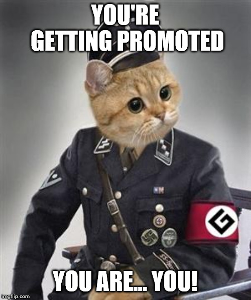 Grammar Nazi Cat | YOU'RE GETTING PROMOTED YOU ARE... YOU! | image tagged in grammar nazi cat | made w/ Imgflip meme maker