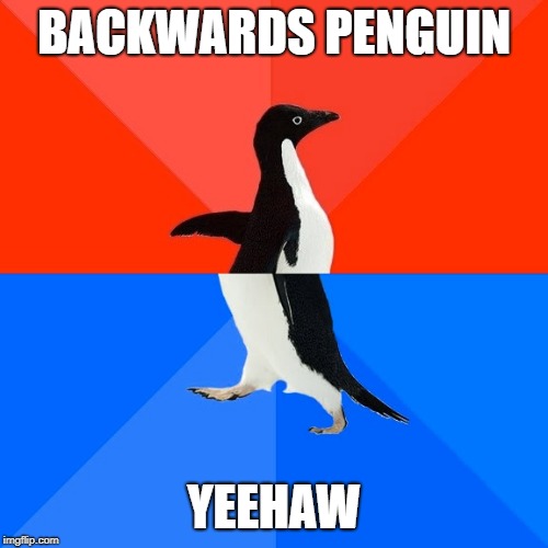 Socially Awesome Awkward Penguin Meme | BACKWARDS PENGUIN; YEEHAW | image tagged in memes,socially awesome awkward penguin | made w/ Imgflip meme maker