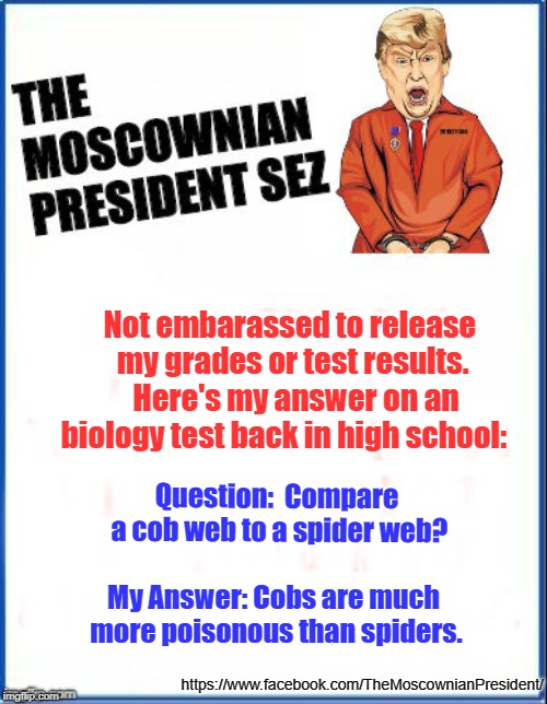 Trump's Grades | Not embarassed to release my grades or test results.  Here's my answer on an biology test back in high school:; Question:  Compare a cob web to a spider web? https://www.facebook.com/TheMoscownianPresident/; My Answer: Cobs are much more poisonous than spiders. | image tagged in trump,grades,bio,test | made w/ Imgflip meme maker