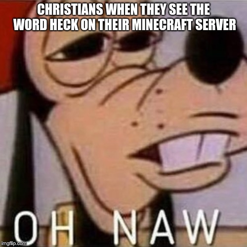 minecraft server | CHRISTIANS WHEN THEY SEE THE WORD HECK ON THEIR MINECRAFT SERVER | image tagged in christian minecraft sevrver meme | made w/ Imgflip meme maker