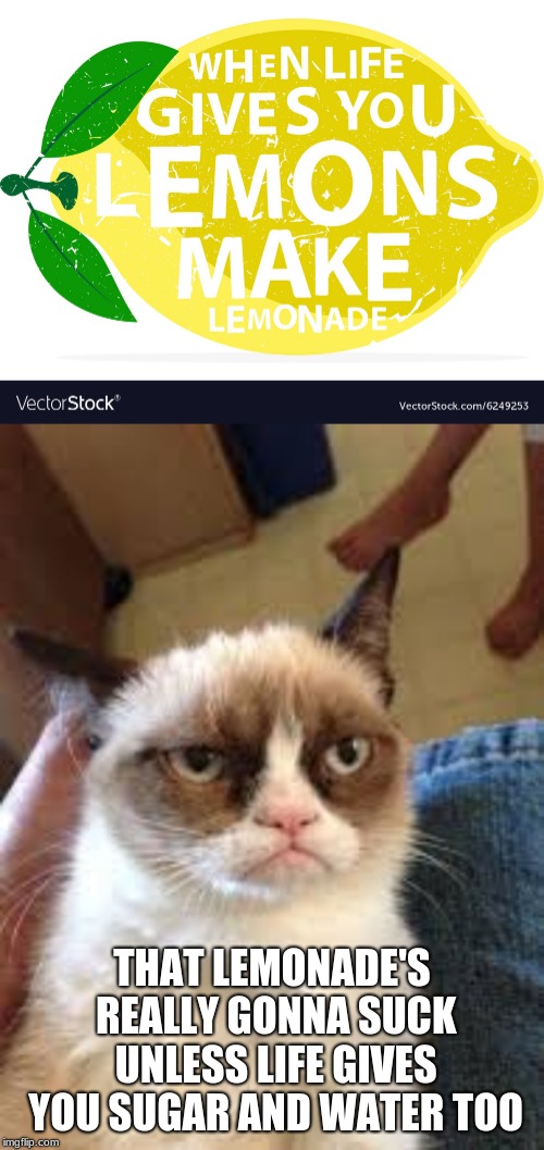When Life Gives You Lemons | THAT LEMONADE'S REALLY GONNA SUCK UNLESS LIFE GIVES YOU SUGAR AND WATER TOO | image tagged in when life gives you lemons,grumpy cat | made w/ Imgflip meme maker