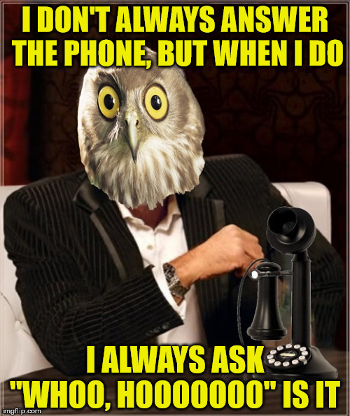 The Most Interesting Owl In The World | I DON'T ALWAYS ANSWER THE PHONE, BUT WHEN I DO; I ALWAYS ASK "WHOO, HOOOOOOO" IS IT | image tagged in the most interesting man in the world,owl,memes,phone,answer,who | made w/ Imgflip meme maker