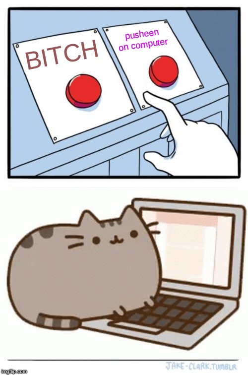 Two Buttons Meme | pusheen on computer; BITCH | image tagged in memes,two buttons | made w/ Imgflip meme maker