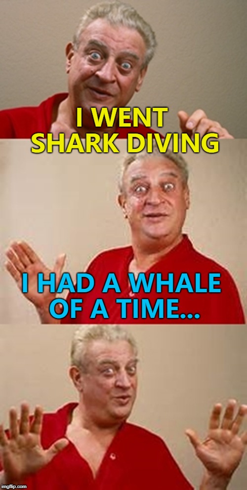 It was somefin' else... :) | I WENT SHARK DIVING; I HAD A WHALE OF A TIME... | image tagged in bad pun dangerfield,memes,sharks,whales,animals | made w/ Imgflip meme maker