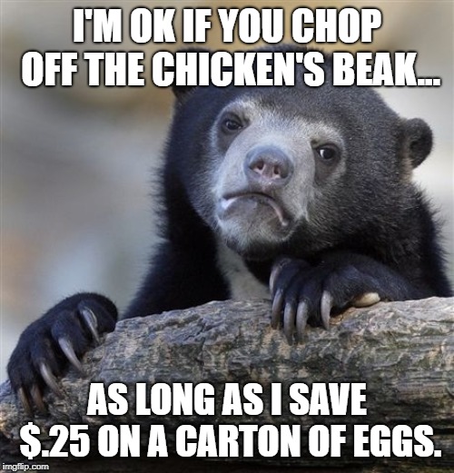 Confession Bear | I'M OK IF YOU CHOP OFF THE CHICKEN'S BEAK... AS LONG AS I SAVE $.25 ON A CARTON OF EGGS. | image tagged in memes,confession bear | made w/ Imgflip meme maker