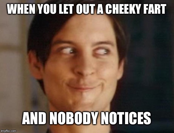 Spiderman Peter Parker Meme | WHEN YOU LET OUT A CHEEKY FART; AND NOBODY NOTICES | image tagged in memes,spiderman peter parker | made w/ Imgflip meme maker