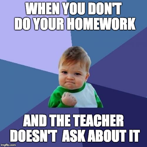 Success Kid Meme | WHEN YOU DON'T DO YOUR HOMEWORK; AND THE TEACHER DOESN'T  ASK ABOUT IT | image tagged in memes,success kid | made w/ Imgflip meme maker