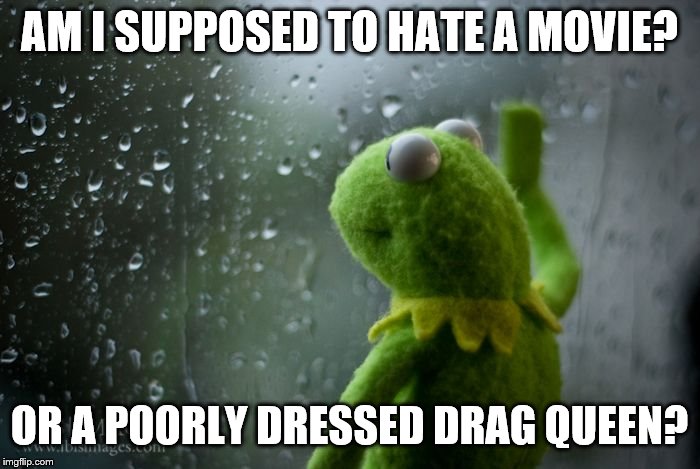 kermit window | AM I SUPPOSED TO HATE A MOVIE? OR A POORLY DRESSED DRAG QUEEN? | image tagged in kermit window | made w/ Imgflip meme maker