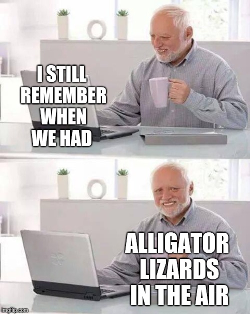 In The Air.  Do Do Do Do Do Do Do | I STILL REMEMBER WHEN WE HAD; ALLIGATOR LIZARDS IN THE AIR | image tagged in memes,hide the pain harold,good times,america,alligator,lizard | made w/ Imgflip meme maker