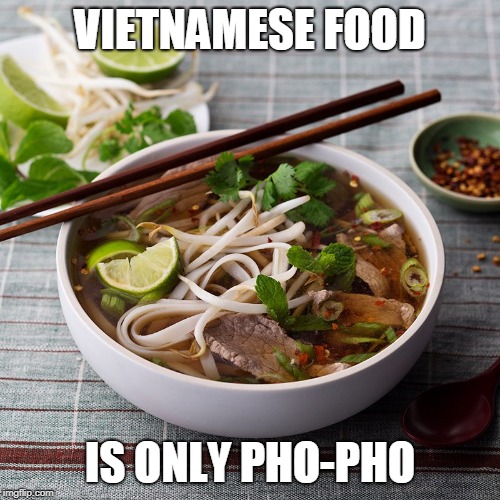 VIETNAMESE FOOD; IS ONLY PHO-PHO | image tagged in food,puns | made w/ Imgflip meme maker