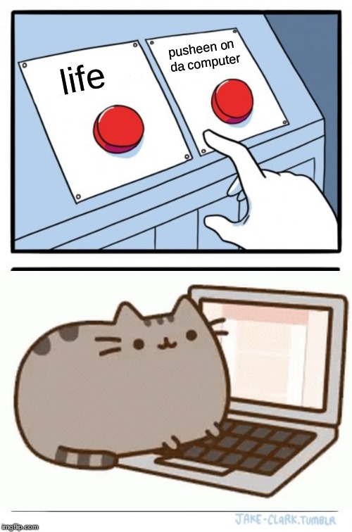 Two Buttons | pusheen on da computer; life | image tagged in memes,two buttons | made w/ Imgflip meme maker