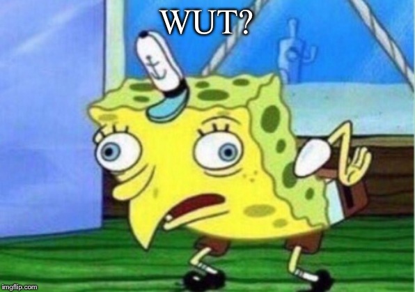 Mocking Spongebob Meme | WUT? | image tagged in memes,mocking spongebob | made w/ Imgflip meme maker