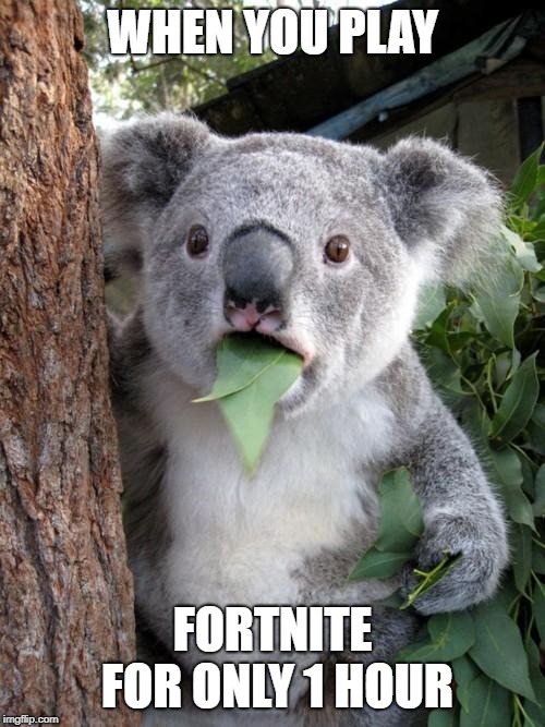 Surprised Koala Meme | WHEN YOU PLAY; FORTNITE FOR ONLY 1 HOUR | image tagged in memes,surprised koala | made w/ Imgflip meme maker