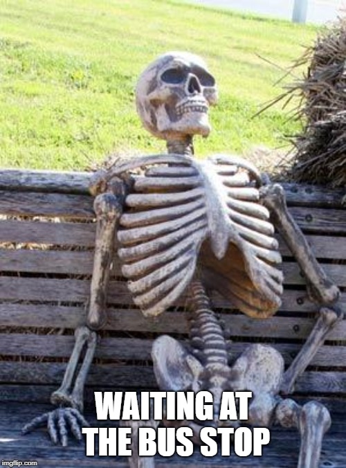 Skeleton at the Bus Stop | WAITING AT THE BUS STOP | image tagged in waiting skeleton,bus stop | made w/ Imgflip meme maker