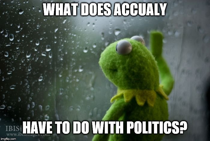 kermit window | WHAT DOES ACCUALY HAVE TO DO WITH POLITICS? | image tagged in kermit window | made w/ Imgflip meme maker