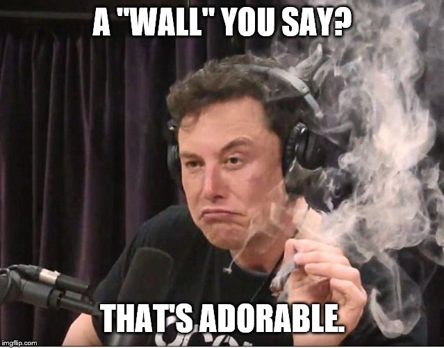 Elon Musk smoking a joint | A "WALL" YOU SAY? THAT'S ADORABLE. | image tagged in elon musk smoking a joint | made w/ Imgflip meme maker