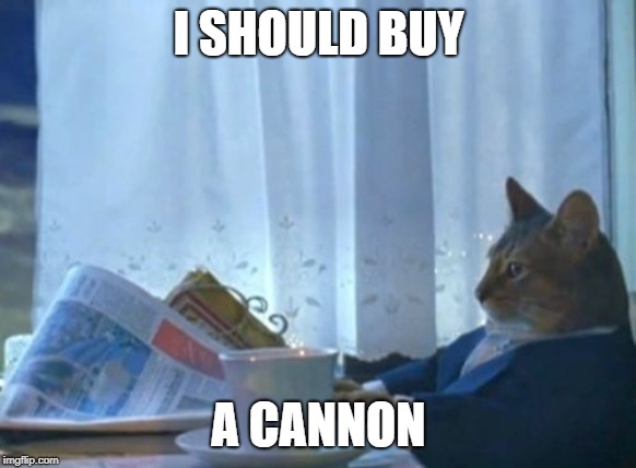 I Should Buy A Boat Cat Meme | I SHOULD BUY; A CANNON | image tagged in memes,i should buy a boat cat | made w/ Imgflip meme maker