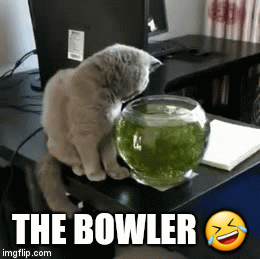 THE BOWLER 🤣 | image tagged in gifs | made w/ Imgflip video-to-gif maker