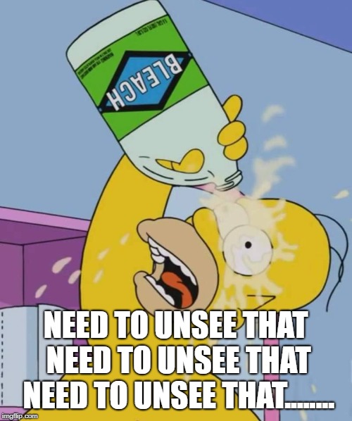 Homer with bleach | NEED TO UNSEE THAT NEED TO UNSEE THAT NEED TO UNSEE THAT........ | image tagged in homer with bleach | made w/ Imgflip meme maker