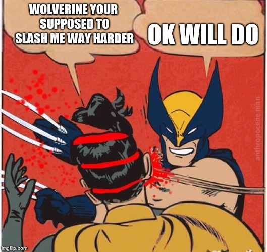 Wolverines kills robin | WOLVERINE YOUR SUPPOSED TO SLASH ME WAY HARDER; OK WILL DO | image tagged in wolverines kills robin | made w/ Imgflip meme maker