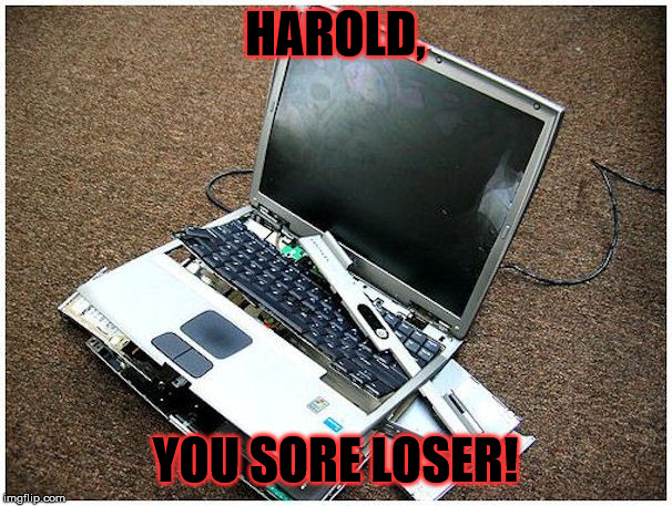 HAROLD, YOU SORE LOSER! | made w/ Imgflip meme maker