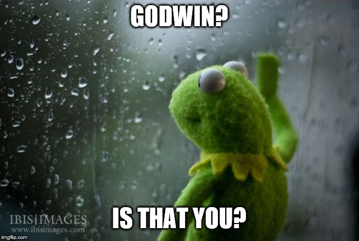 kermit window | GODWIN? IS THAT YOU? | image tagged in kermit window | made w/ Imgflip meme maker