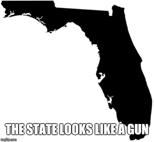 Florida | THE STATE LOOKS LIKE A GUN | image tagged in florida | made w/ Imgflip meme maker