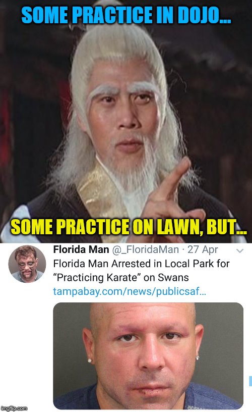 "Stupid swans think they're better than me?!!"  Florida Man Week (March 3-10, a Claybourne and Triumph_9 event) | SOME PRACTICE IN DOJO... SOME PRACTICE ON LAWN, BUT... | image tagged in wise kung fu master,florida man,florida man week | made w/ Imgflip meme maker