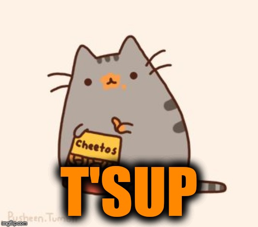 pusheen stole the cheetos | T'SUP | image tagged in pusheen stole the cheetos | made w/ Imgflip meme maker