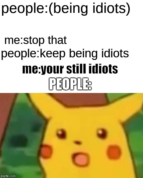 Surprised Pikachu | people:(being idiots); me:stop that; people:keep being idiots; me:your still idiots; PEOPLE: | image tagged in memes,surprised pikachu | made w/ Imgflip meme maker