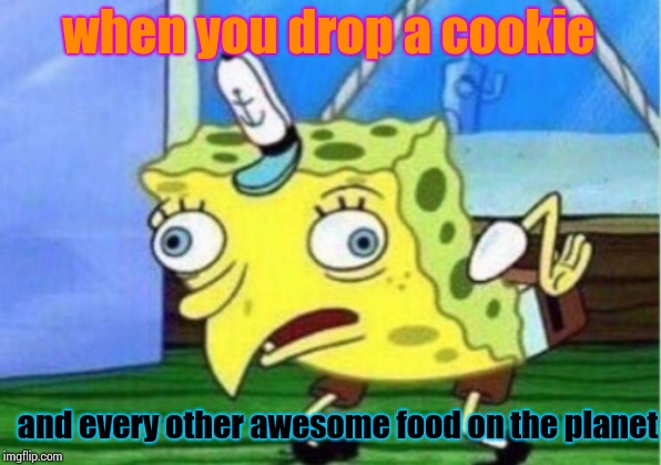 Mocking Spongebob Meme | when you drop a cookie; and every other awesome food on the planet | image tagged in memes,mocking spongebob | made w/ Imgflip meme maker